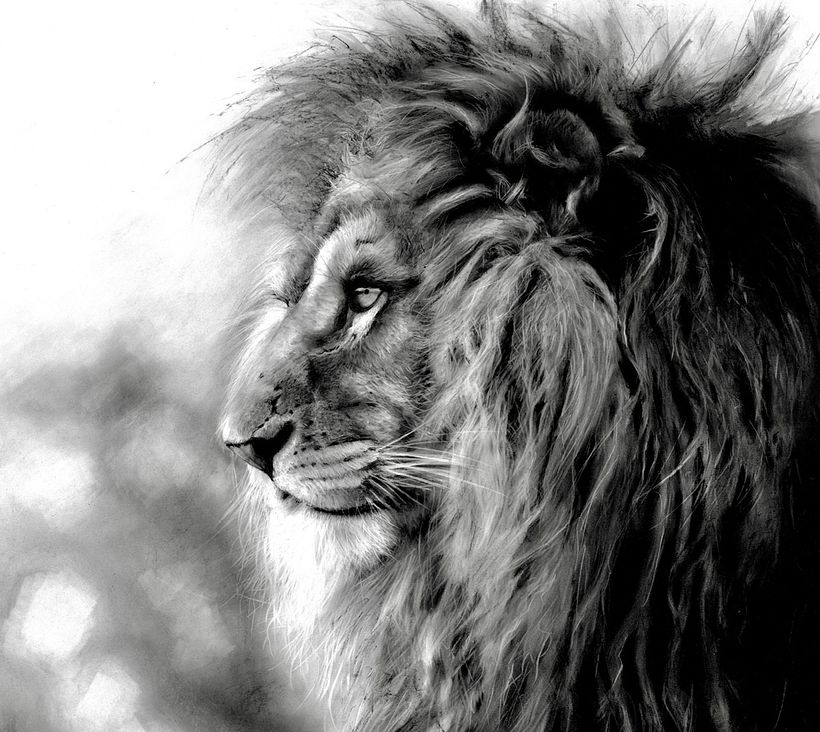 Charcoal lion on board