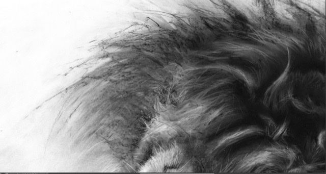 Texture with compressed and willow charcoal