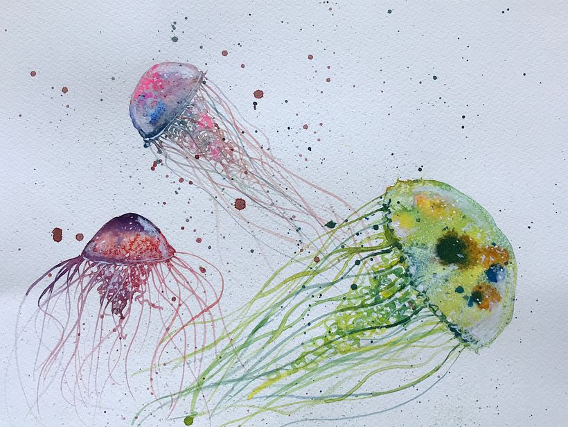 Jellyfish experiment number one 