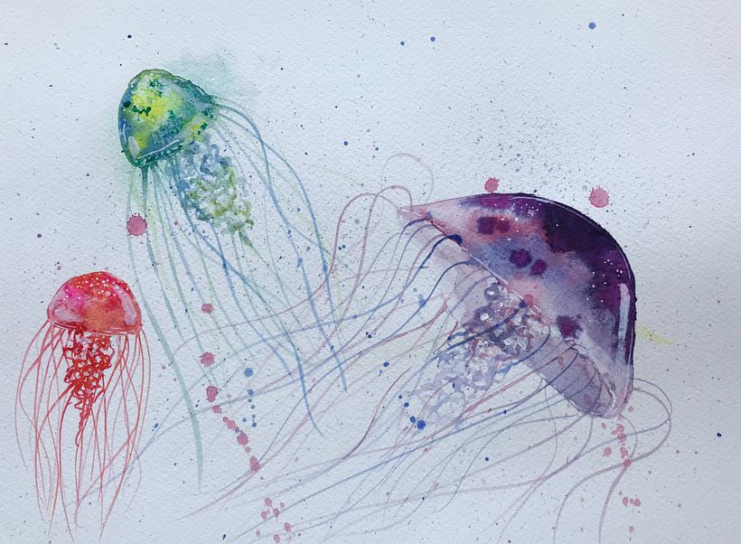 Jellyfish experiment number two