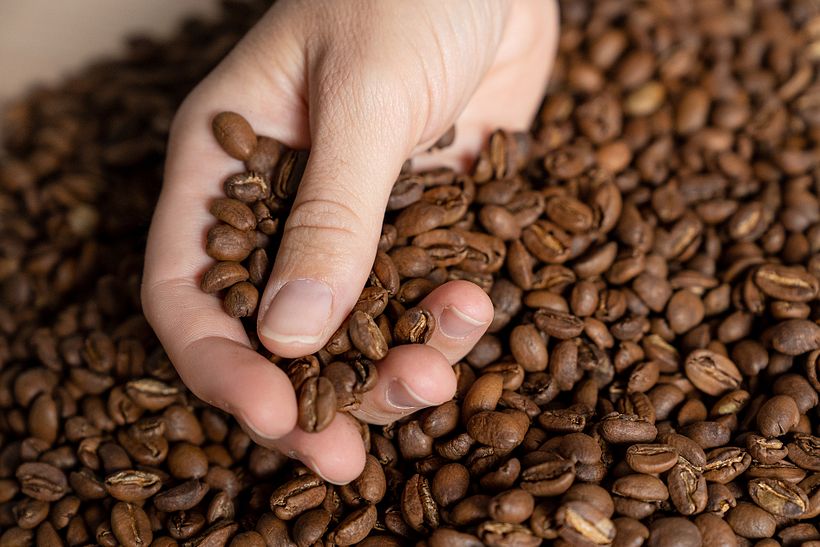 The remains of coffee beans were used to make vegetable inks.