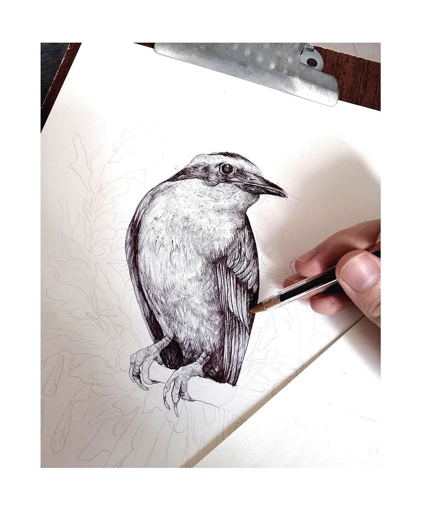 Tinta & Aves  1