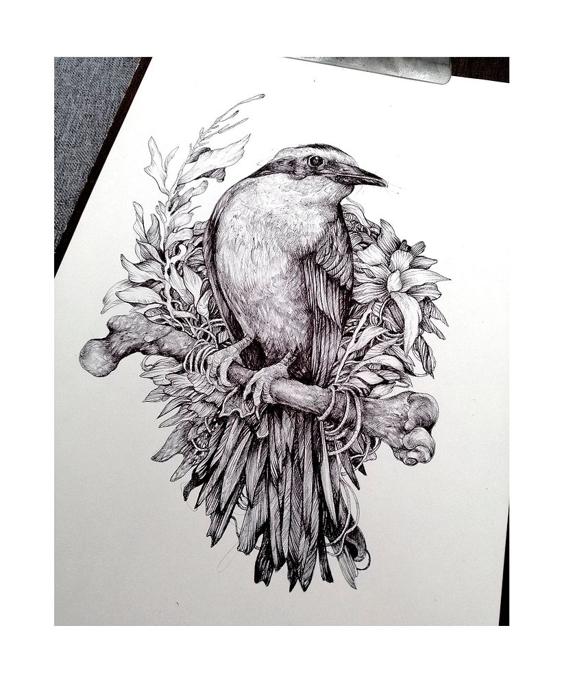 Tinta & Aves  2