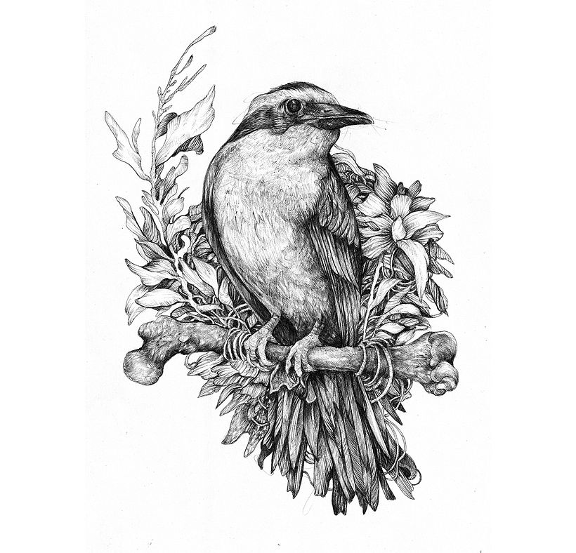 Tinta & Aves  3