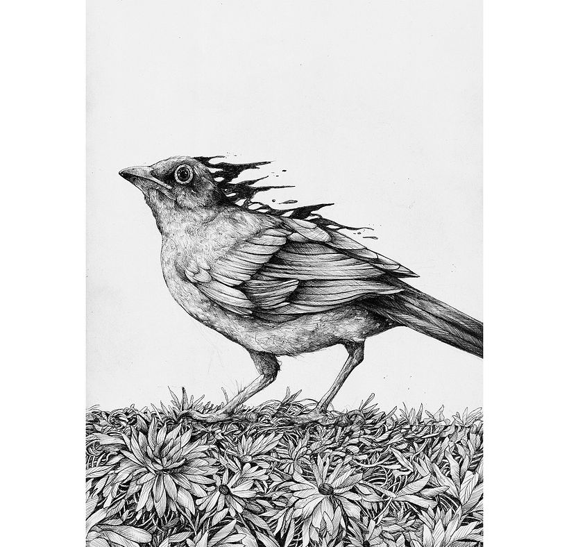 Tinta & Aves  11