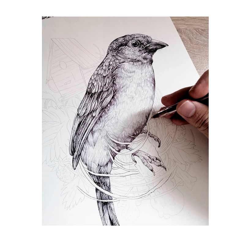 Tinta & Aves  13