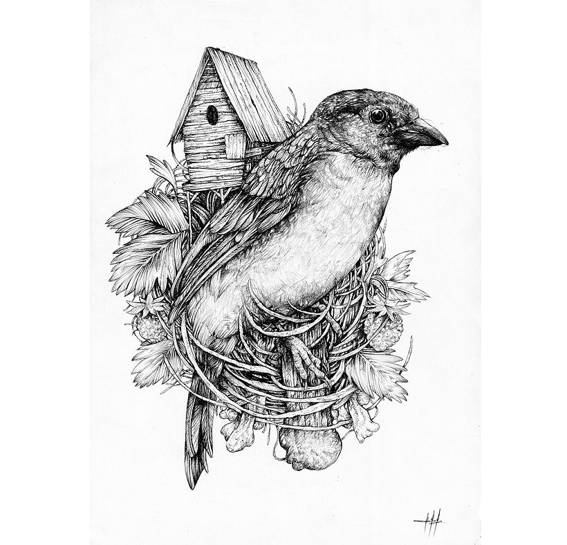 Tinta & Aves  14