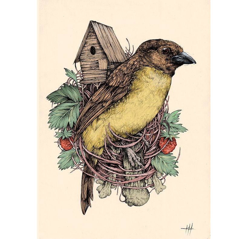 Tinta & Aves  15