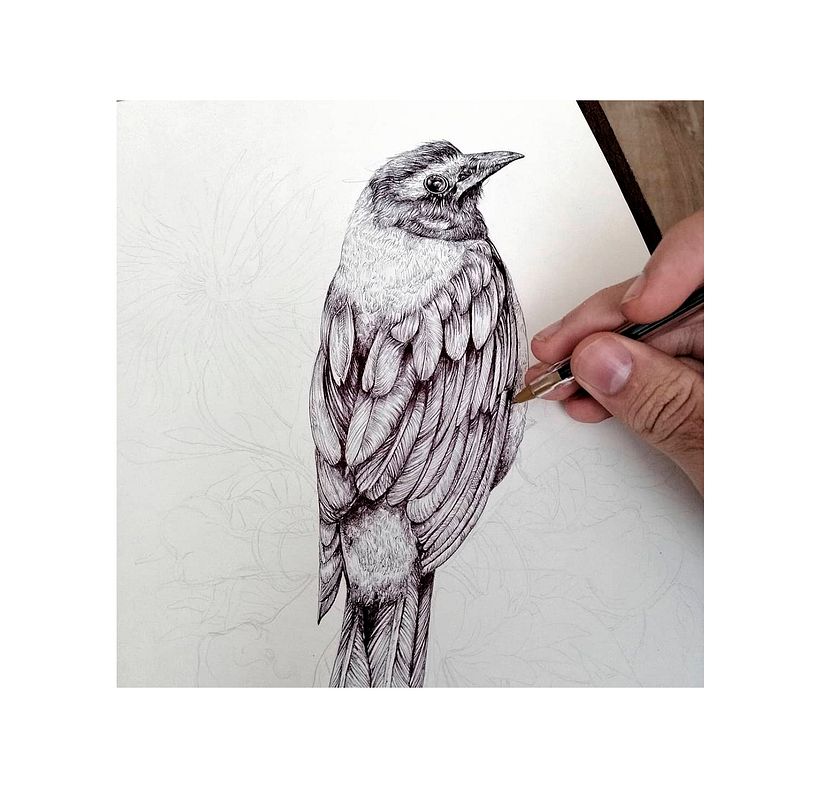 Tinta & Aves  5