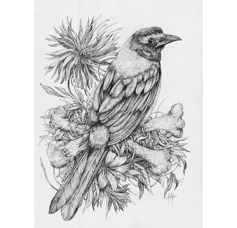 Tinta & Aves  6