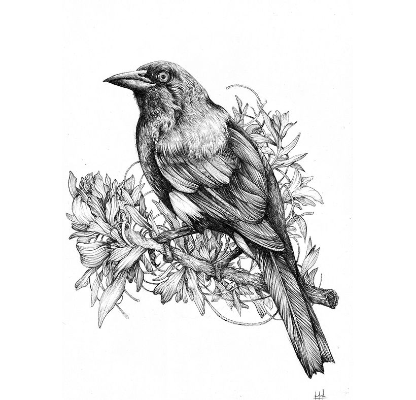 Tinta & Aves  8