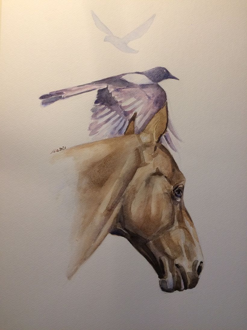 Horse and Magpies
