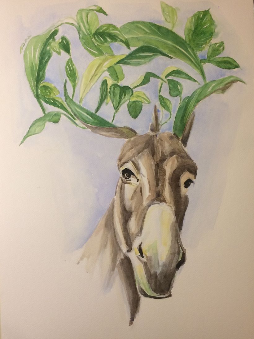 Leafy Donkey