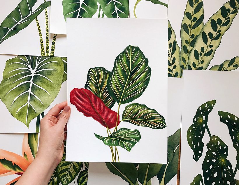 Isabela Quintes realiza ilustraciones botánicas minimalistas.