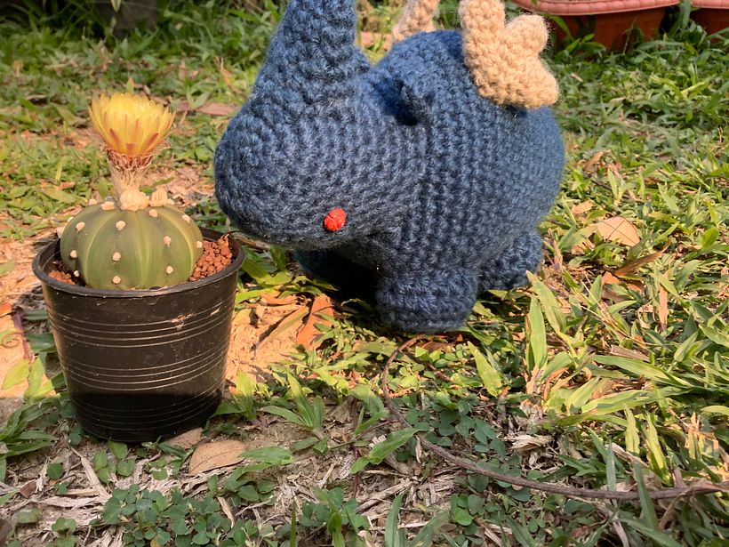 Thank you very much. I managed to finished the project. Not exactly looks like the pattern.  I am glad I made it. 