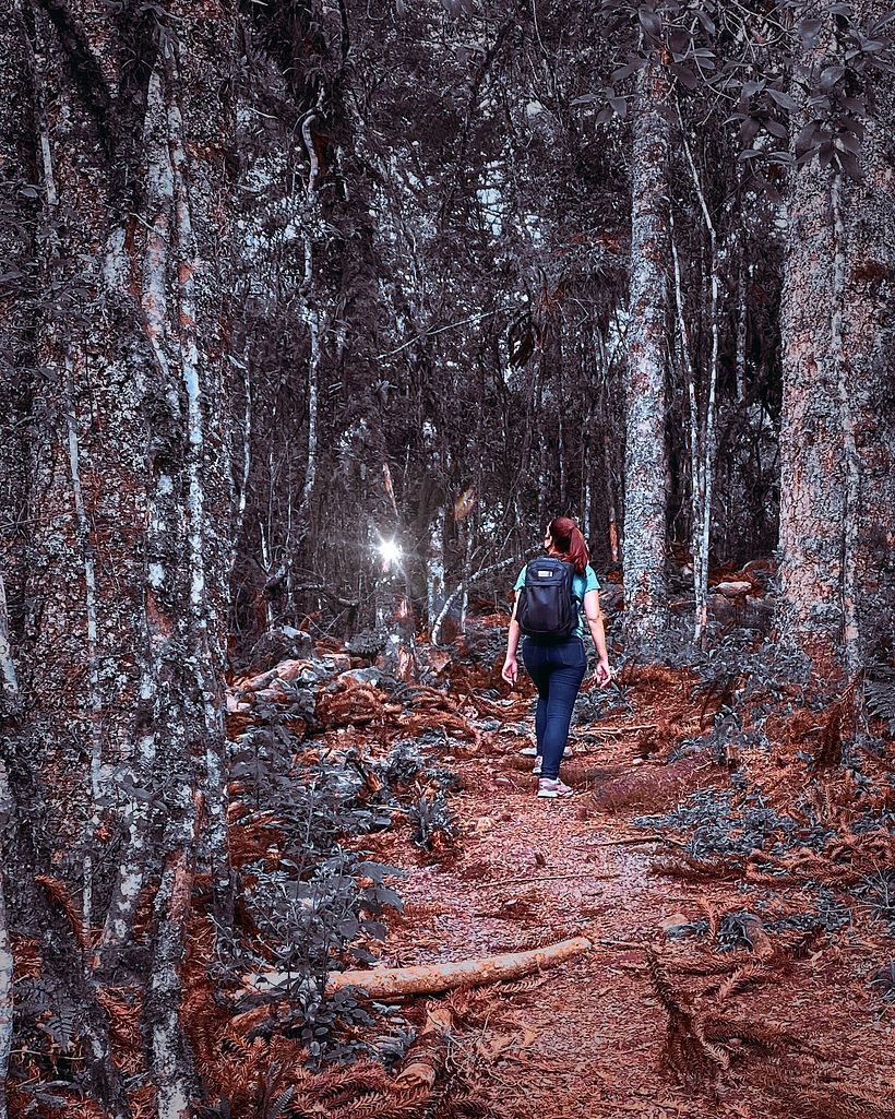 Woman walking into the woods