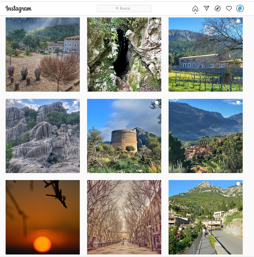 Feed cuenta en Instagram de @turismepetit