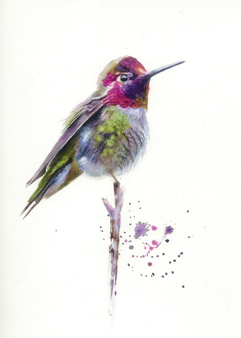 Watercolor by Sarah Stokes.