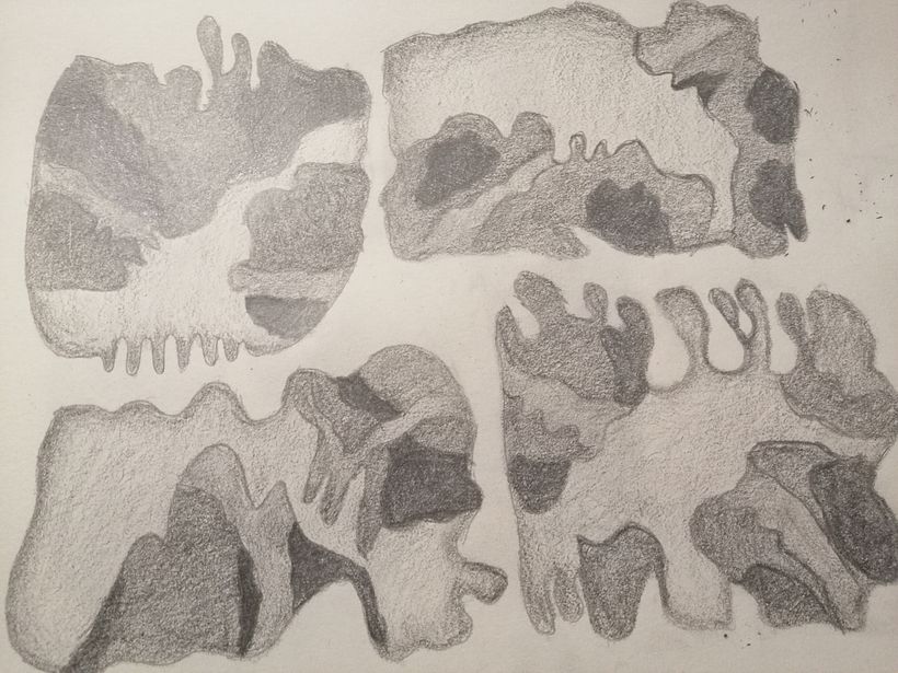 Meu projeto do curso: De iniciante a superdesenhista 3