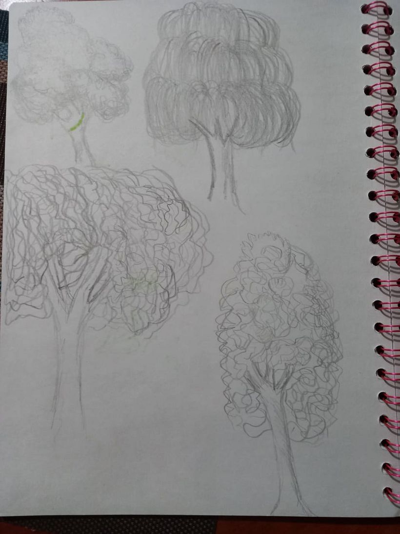 Mi Proyecto del curso: Dibujo para principiantes nivel -1 5