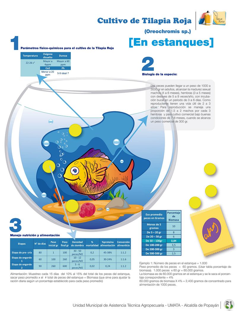 Diseños 2015 ( impresos y digitales ) 18