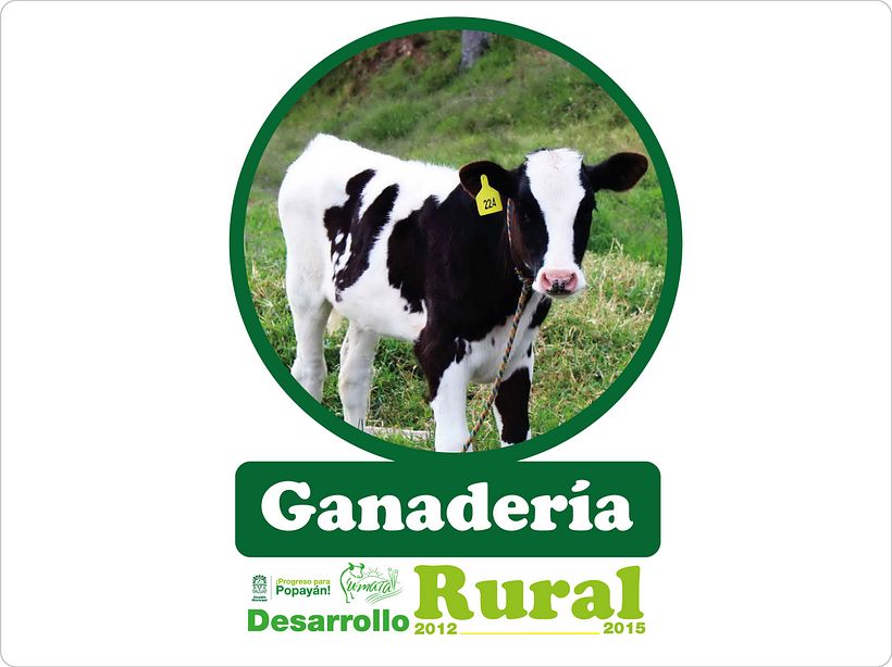 Diseños 2015 ( impresos y digitales ) 89