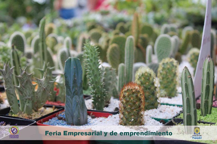 Diseños 2015 ( impresos y digitales ) 106