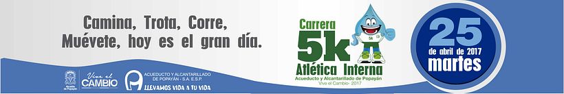 Diseños 2017 (impresos y digitales) 38