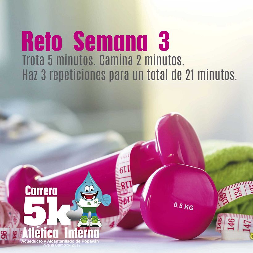 Diseños 2017 (impresos y digitales) 43