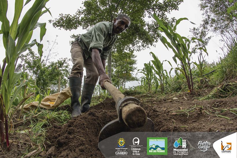 Diseños 2017 (impresos y digitales) 68