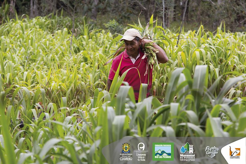 Diseños 2017 (impresos y digitales) 72