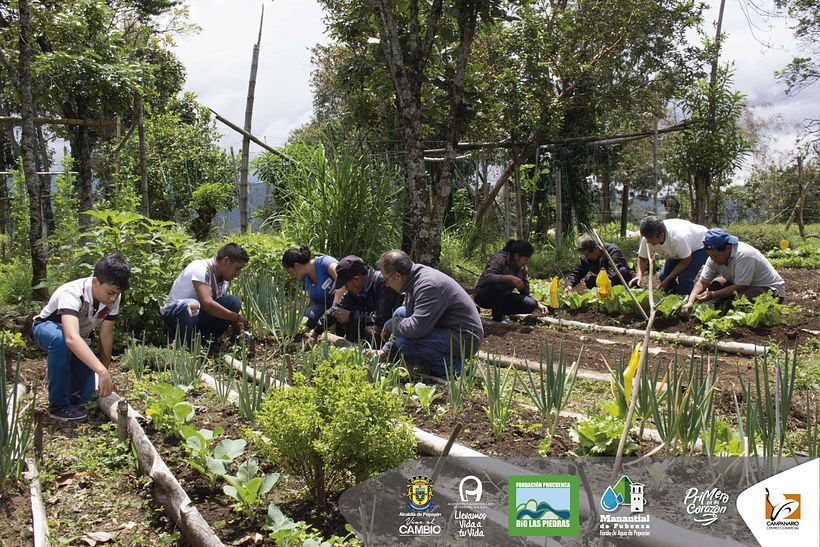 Diseños 2017 (impresos y digitales) 74