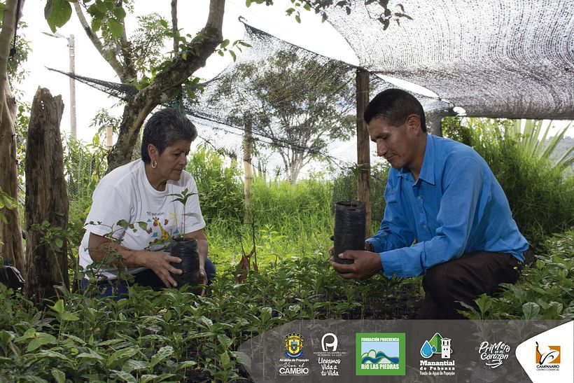 Diseños 2017 (impresos y digitales) 75