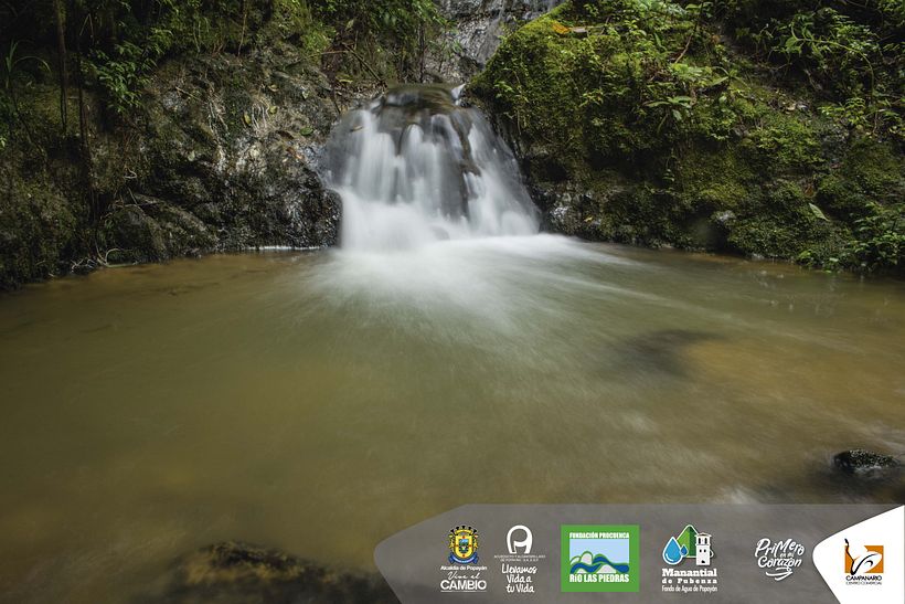 Diseños 2017 (impresos y digitales) 77