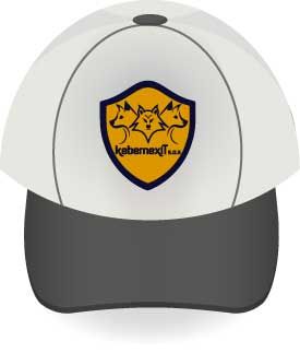 Diseños 2017 (impresos y digitales) 100