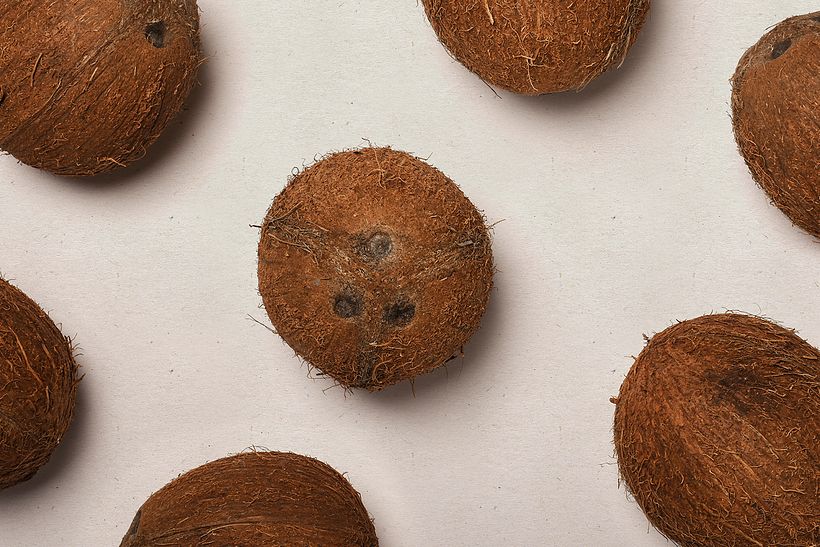 Cokowo, traditional and funny coco food 5