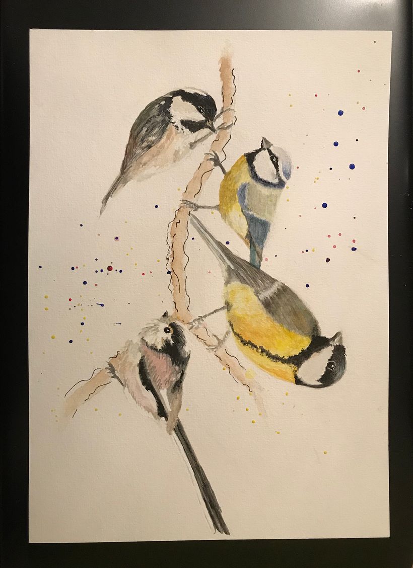 My project in Artistic Watercolor Techniques for Illustrating Birds course 0
