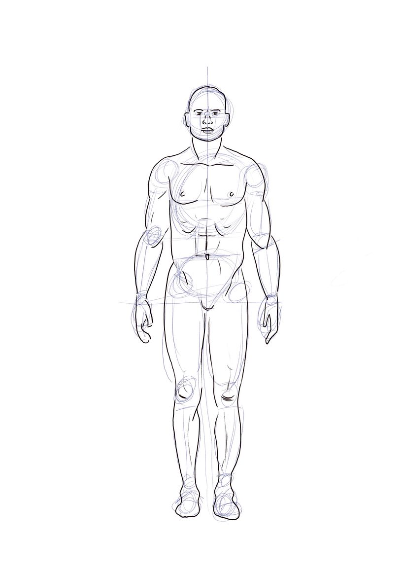 Mi Proyecto del curso: Dibujo anatómico para principiantes 0
