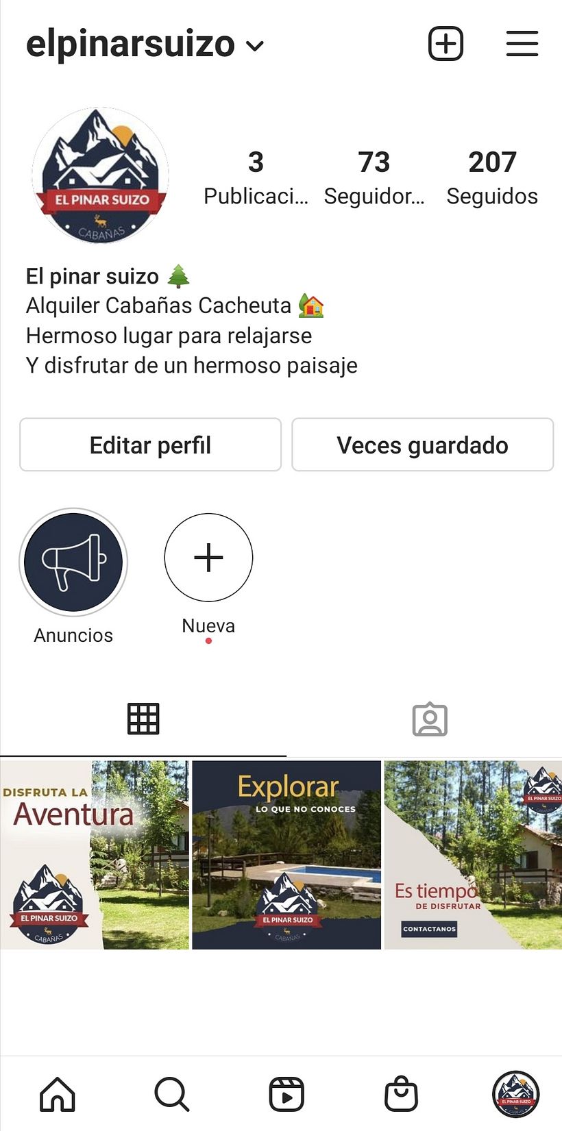 Mi Proyecto del curso: Estrategias de Instagram para desarrollo de marcas 1