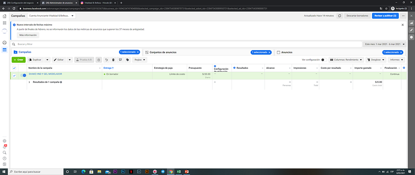 Mi Proyecto del curso: Google Ads y Facebook Ads desde cero 1