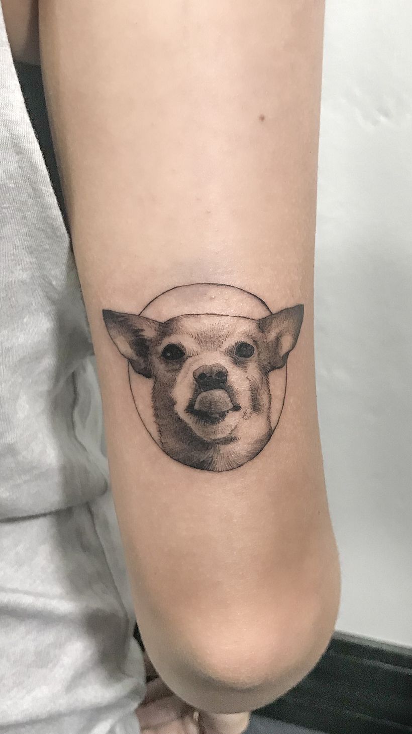 Tatuajes de mascotas  1