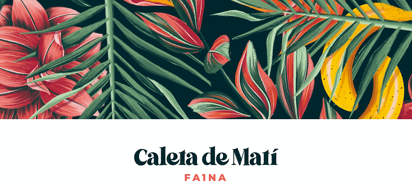 Fa1na - Album Artwork 0