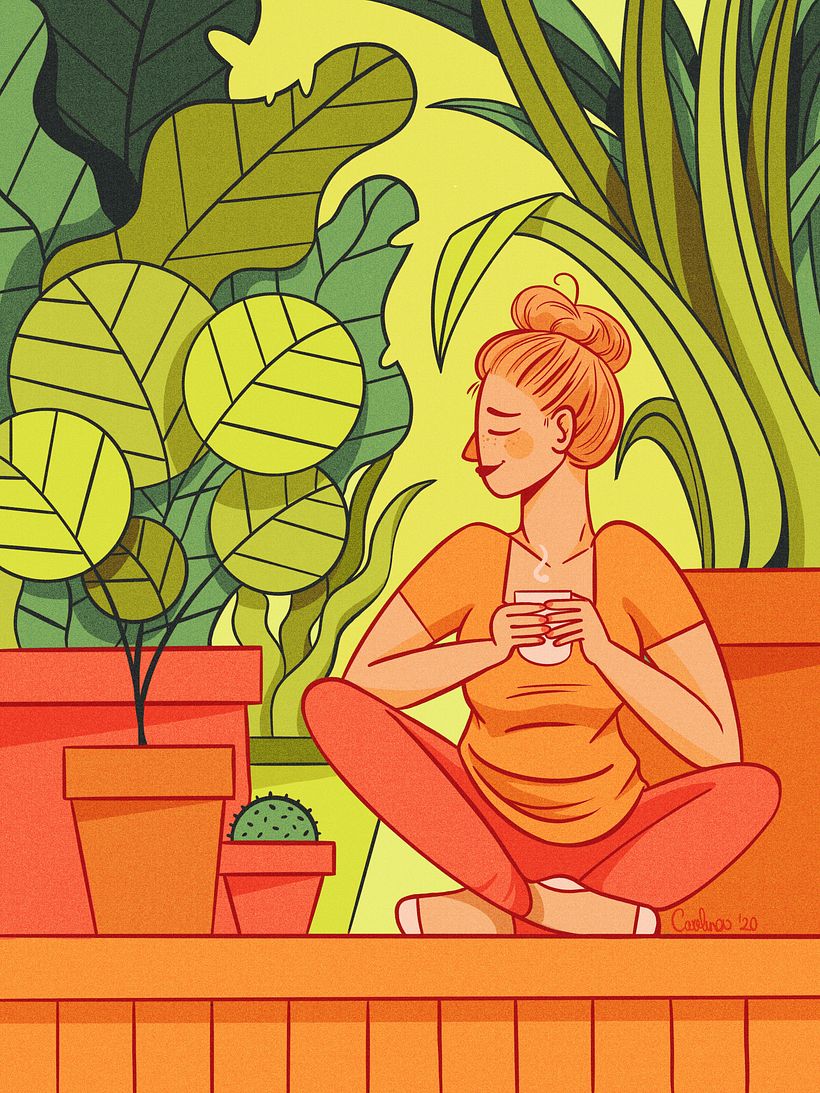 Procreate 6