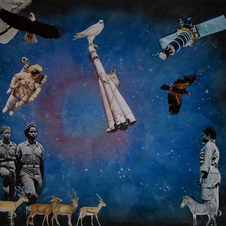 Mónica de Miranda trabalha com desenho, instalação, fotografia, filme, vídeo e som 