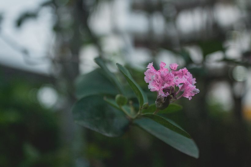 Landscapes and Streets 4