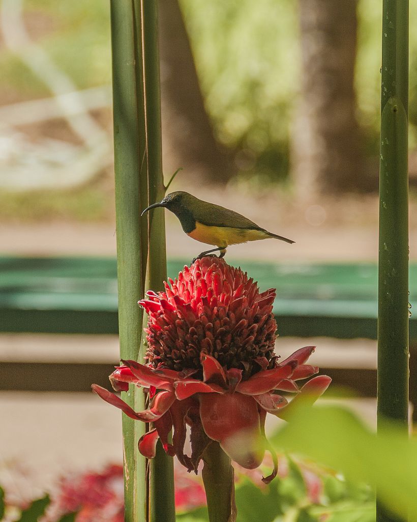 Landscapes and Streets 8