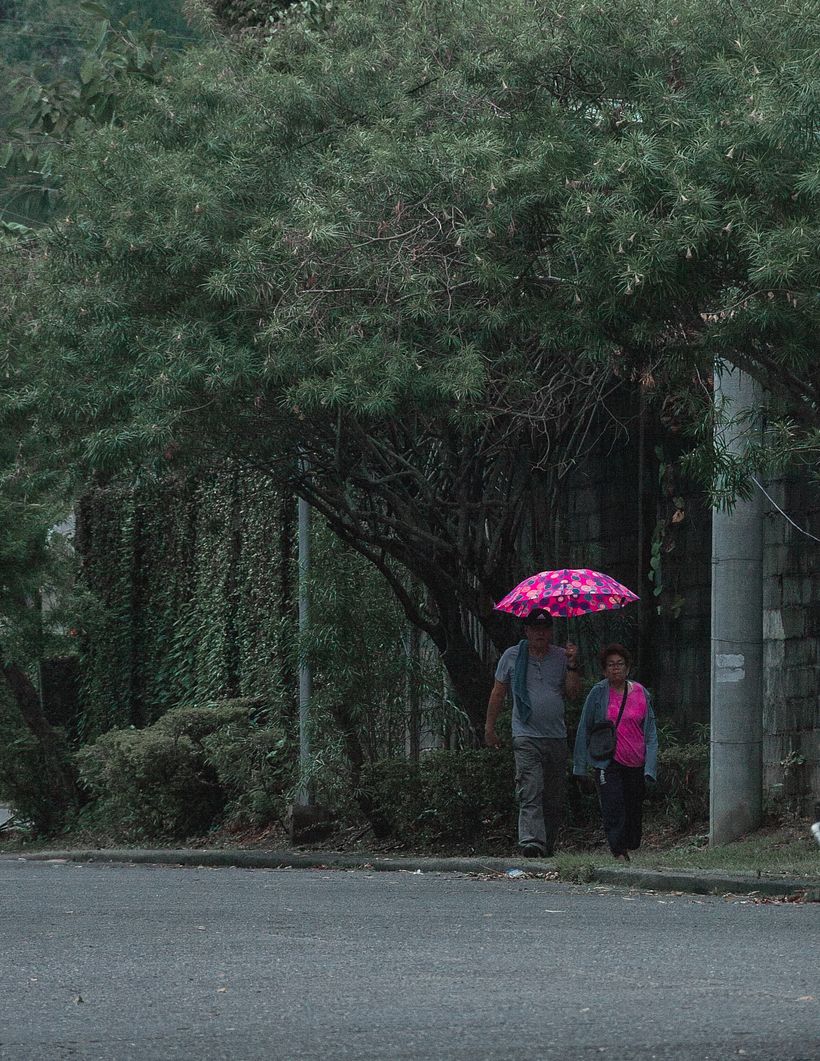 Landscapes and Streets 12