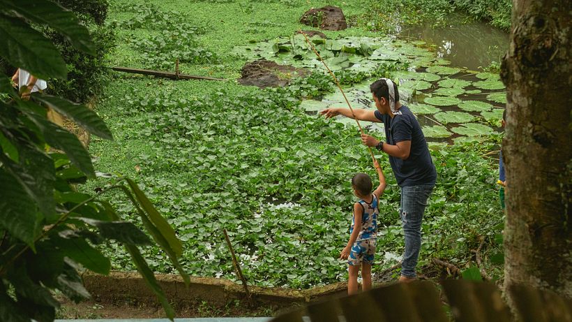 Landscapes and Streets 14