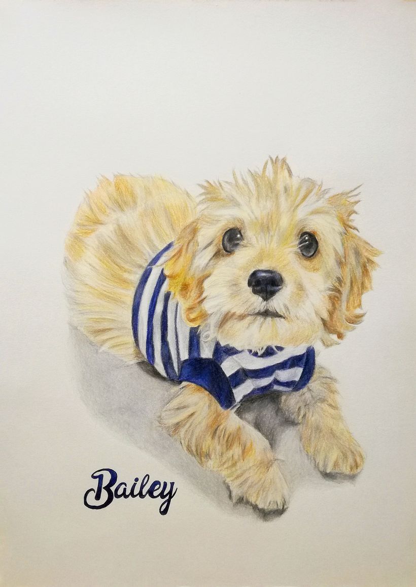 Lápices de colores Faber Castell sobre papel durex 180 gr