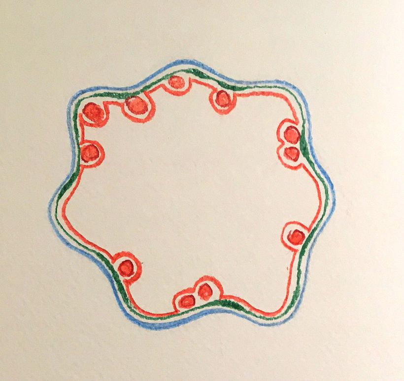 Drawing 02